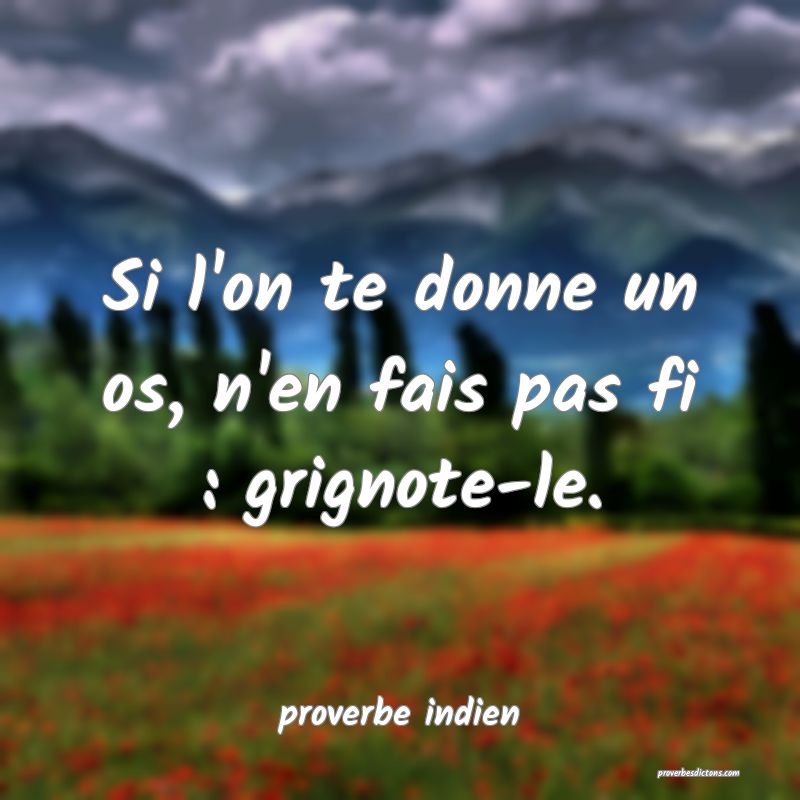  Si l'on te donne un os, n'en fais pas fi : grignote-le.