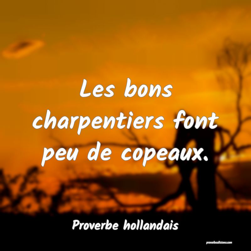  Les bons charpentiers font peu de copeaux.