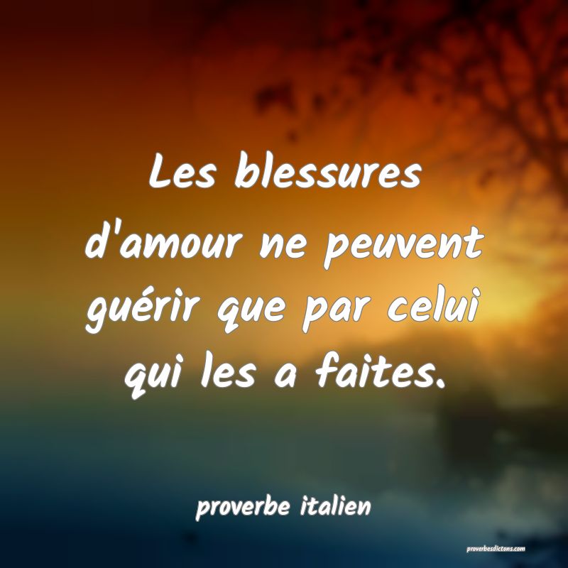  Les blessures d'amour ne peuvent guérir que par celui qui les a faites.