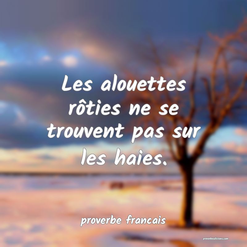  Les alouettes rôties ne se trouvent pas sur les haies.