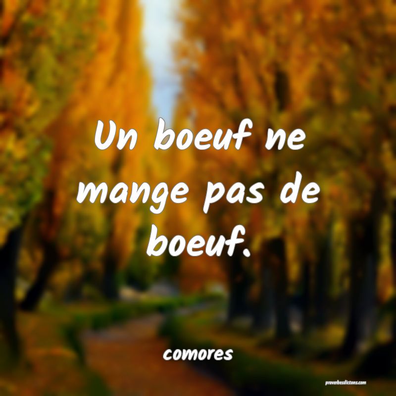  Un boeuf ne mange pas de boeuf.