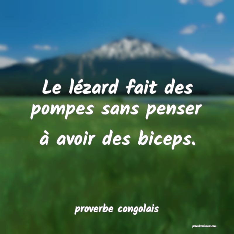  Le lézard fait des pompes sans penser à avoir des biceps.