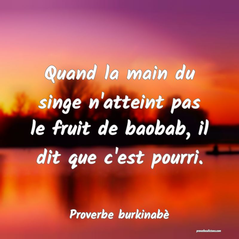  Quand la main du singe n'atteint pas le fruit de baobab, il dit que c'est pourri.