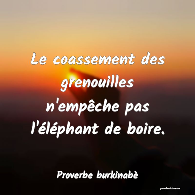  Le coassement des grenouilles n'empêche pas l'éléphant de boire.