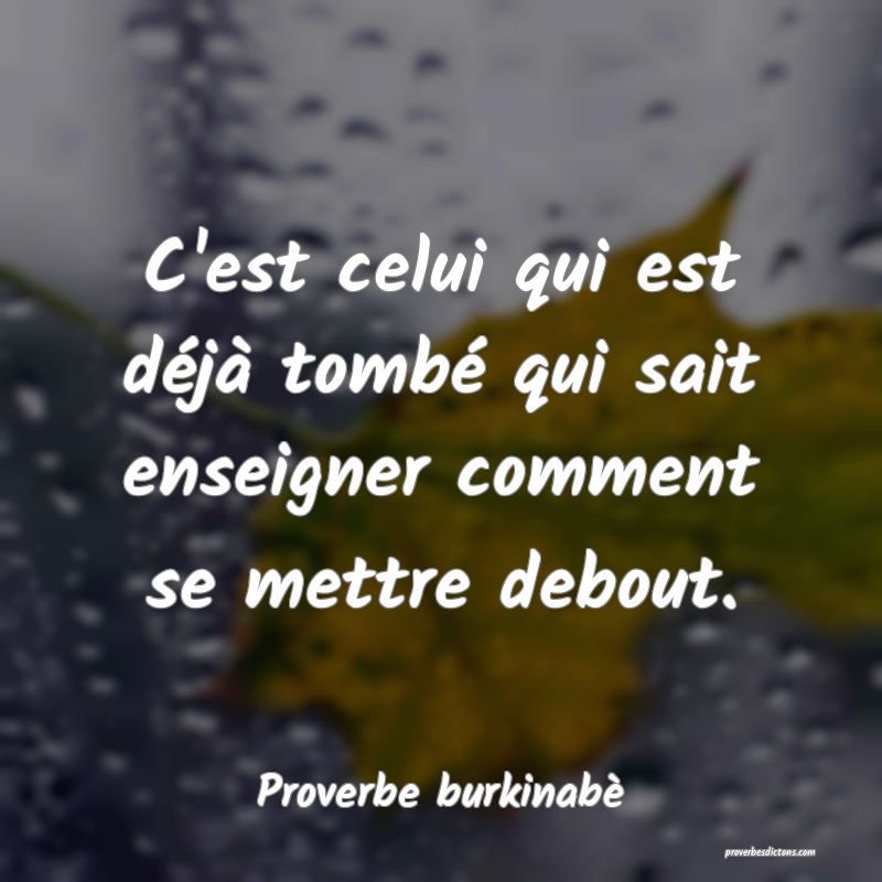  C'est celui qui est déjà tombé qui sait enseigner comment se mettre debout.