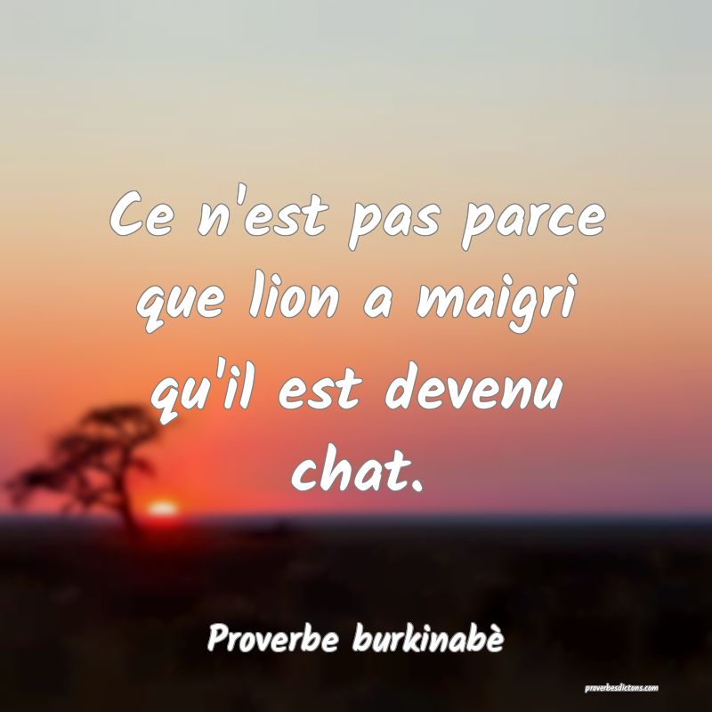  Ce n'est pas parce que lion a maigri qu'il est devenu chat.