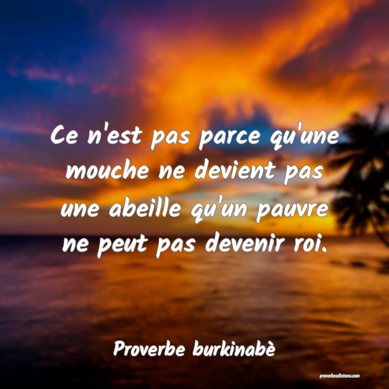  Ce n'est pas parce qu'une mouche ne devient pas une abeille qu'un pauvre ne peut pas devenir roi.