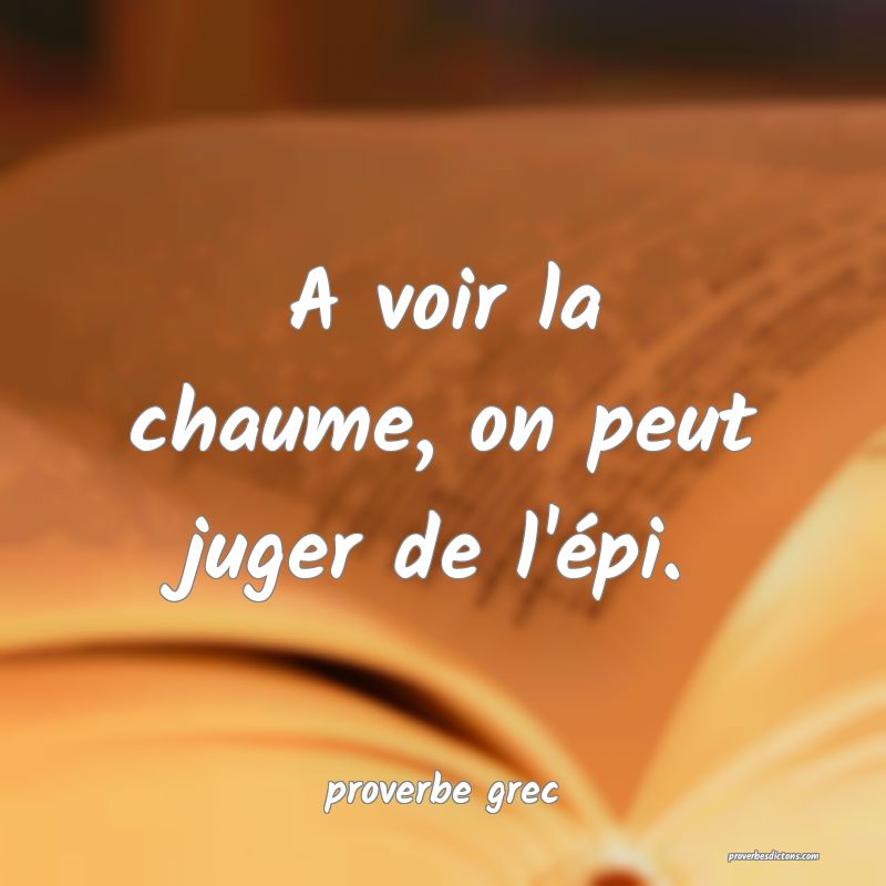A voir la chaume, on peut juger de l'épi.