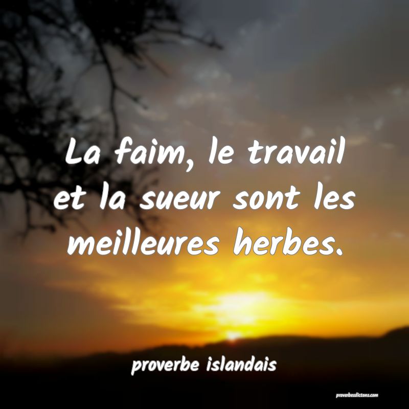  La faim, le travail et la sueur sont les meilleures herbes.