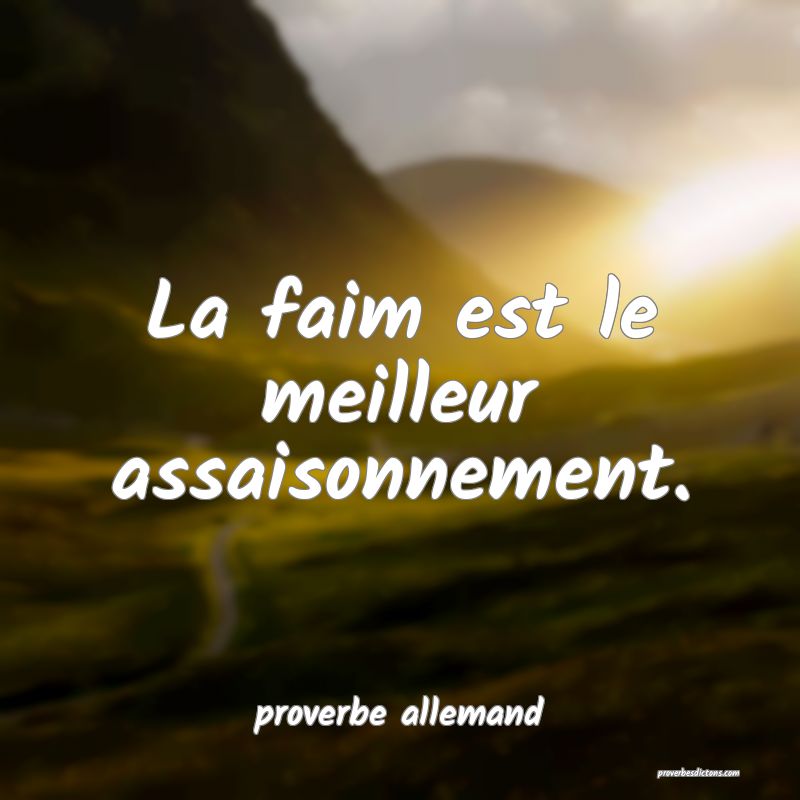  La faim est le meilleur assaisonnement.