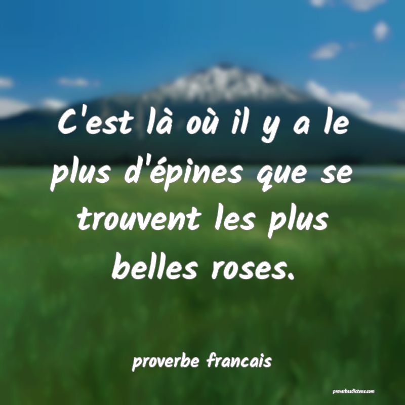  C'est là où il y a le plus d'épines que se trouvent les plus belles roses.
