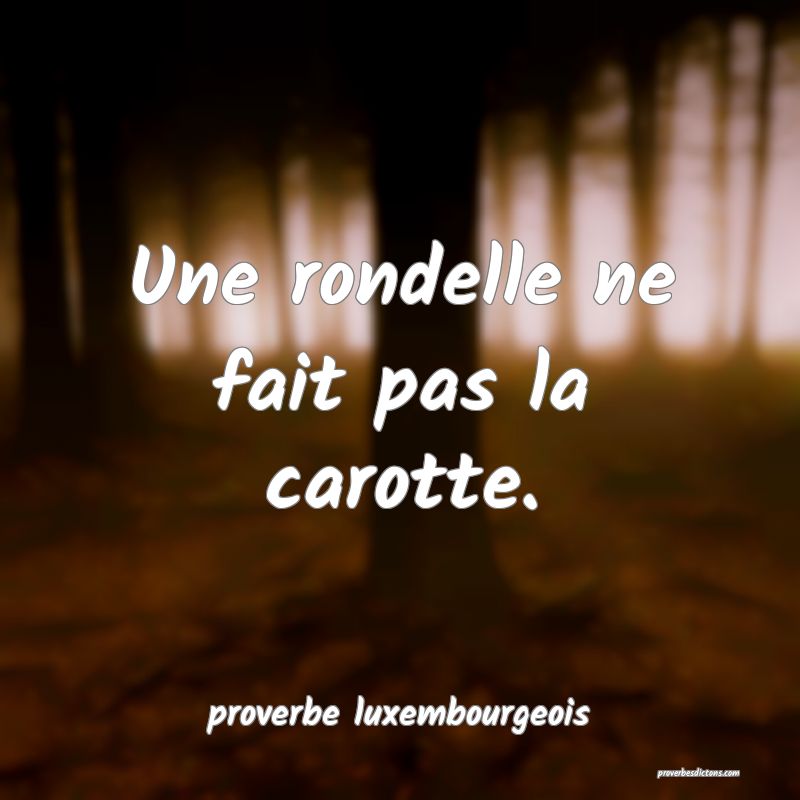  Une rondelle ne fait pas la carotte.