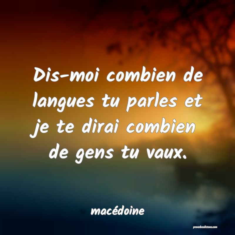  Dis-moi combien de langues tu parles et je te dirai combien de gens tu vaux.