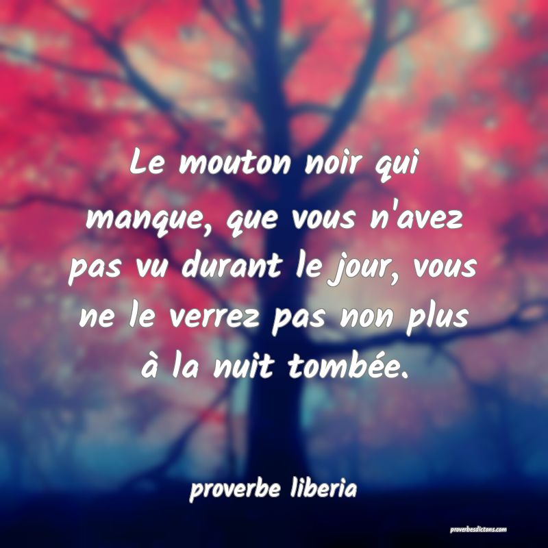Le mouton noir qui manque, que vous n'avez pas vu durant le jour, vous ne le verrez pas non plus à la nuit tombée.