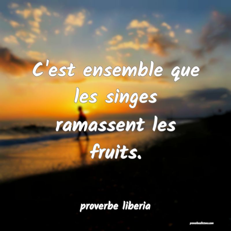  C'est ensemble que les singes ramassent les fruits.