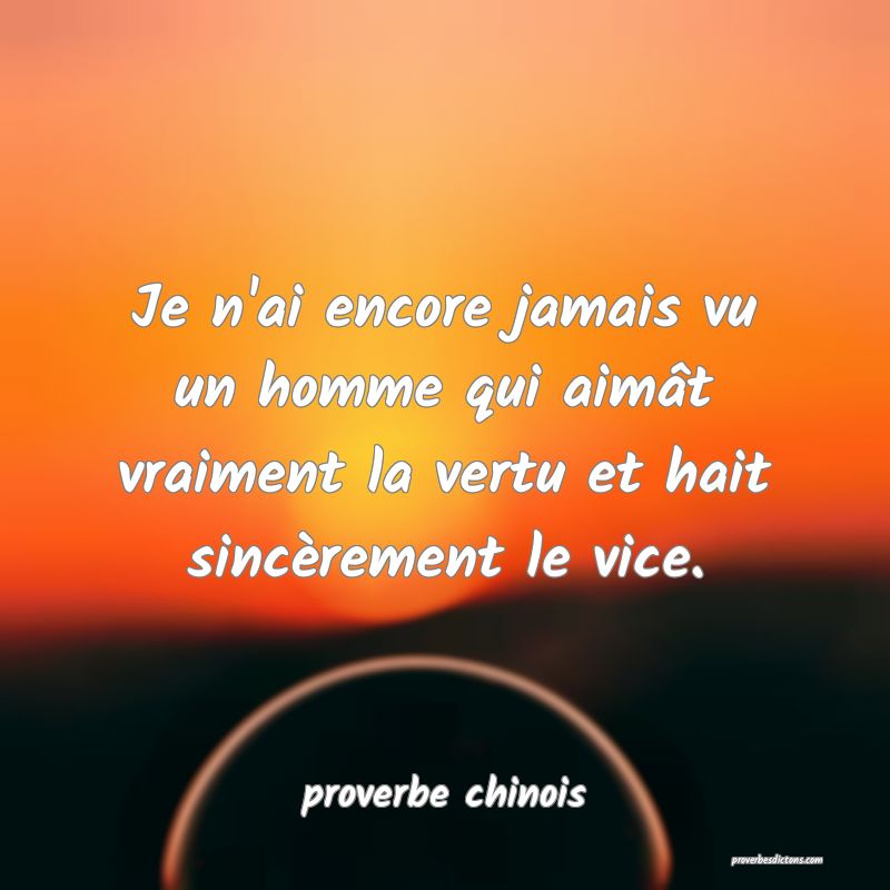 Je n'ai encore jamais vu un homme qui aimât vraiment la vertu et hait sincèrement le vice.