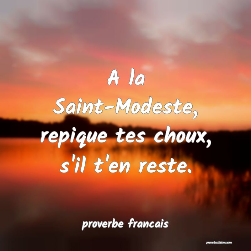 A la Saint-Modeste, repique tes choux, s'il t'en reste.