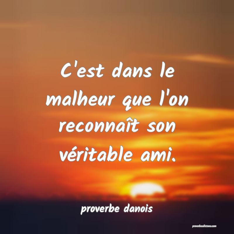 C'est dans le malheur que l'on reconnaît son véritable ami.
