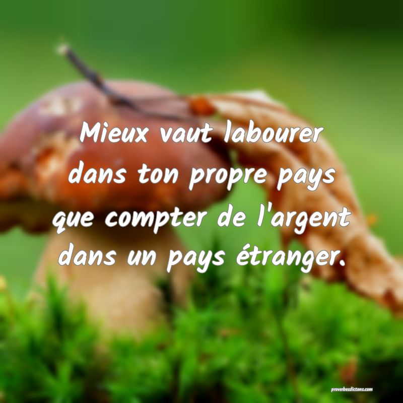 Mieux vaut labourer dans ton propre pays que compter de l'argent dans un pays étranger.