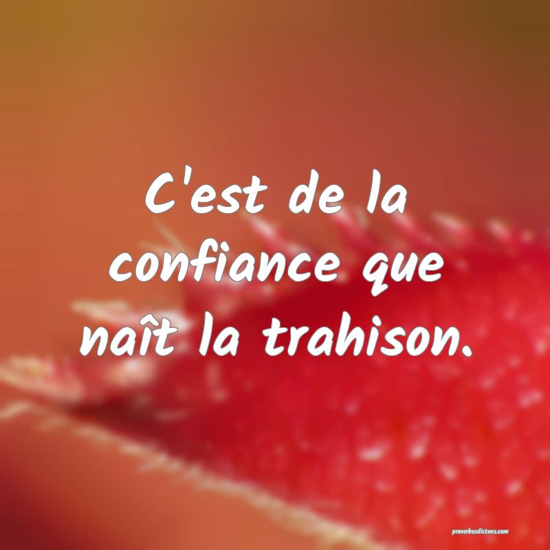 C'est de la confiance que naît la trahison.