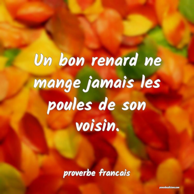 Un bon renard ne mange jamais les poules de son voisin.
