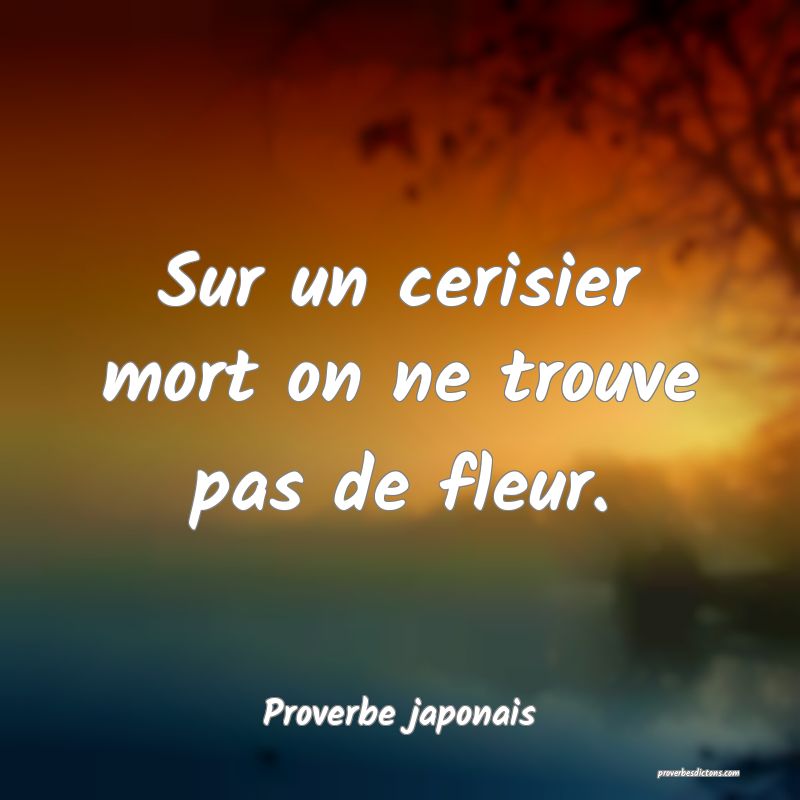 Sur un cerisier mort on ne trouve pas de fleur.