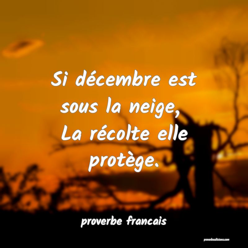 Si décembre est sous la neige, 
La récolte elle protège.