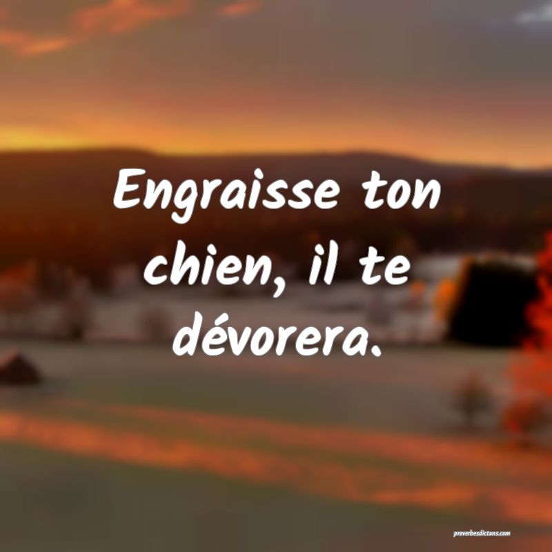 Engraisse ton chien, il te dévorera.