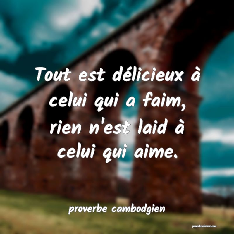  Tout est délicieux à celui qui a faim, rien n'est laid à celui qui aime.