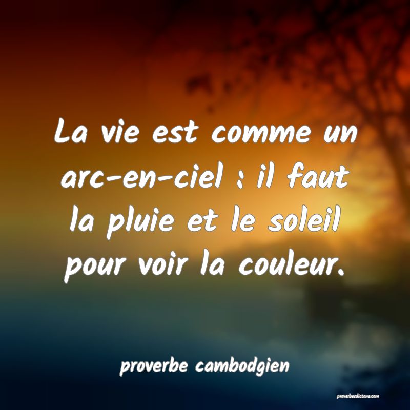  La vie est comme un arc-en-ciel : il faut la pluie et le soleil pour voir la couleur.
