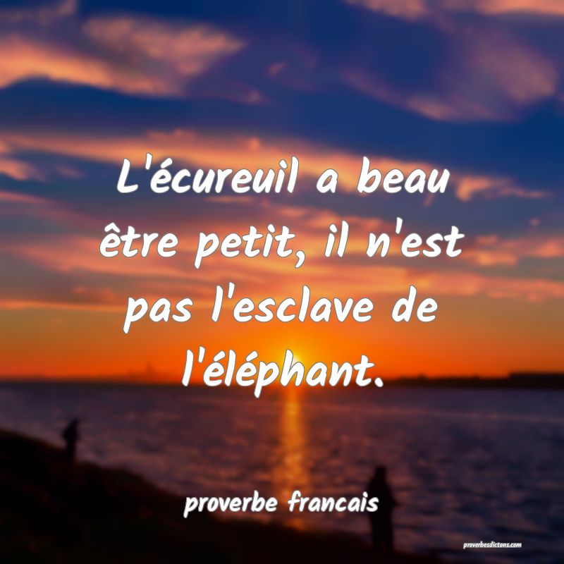  L'écureuil a beau être petit, il n'est pas l'esclave de l'éléphant.