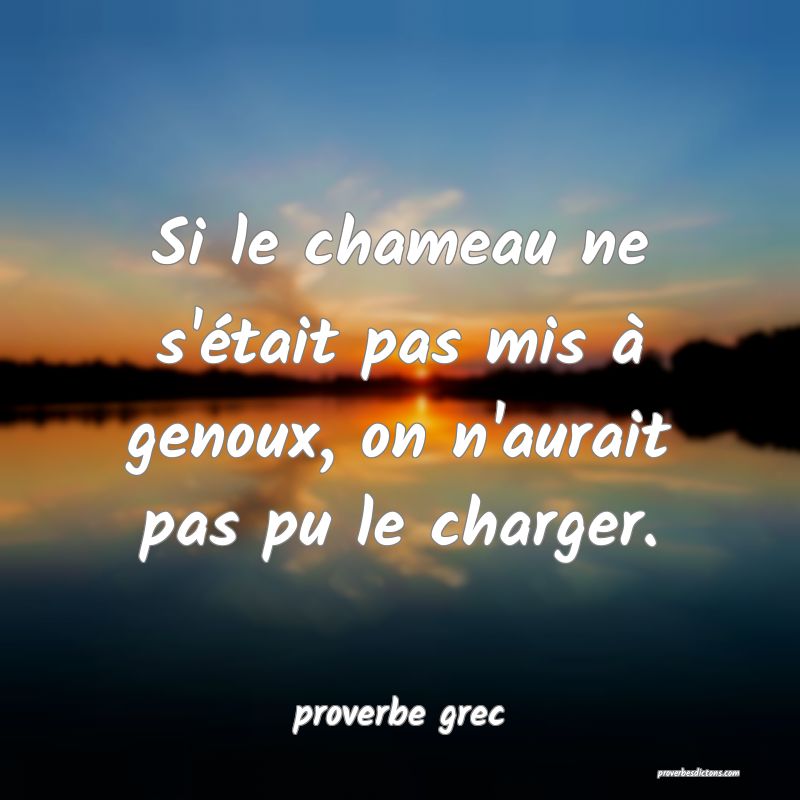  Si le chameau ne s'était pas mis à genoux, on n'aurait pas pu le charger.