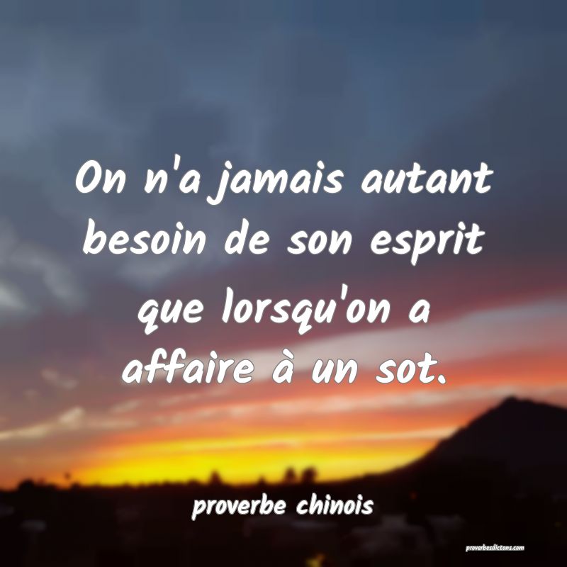  On n'a jamais autant besoin de son esprit que lorsqu'on a affaire à un sot.