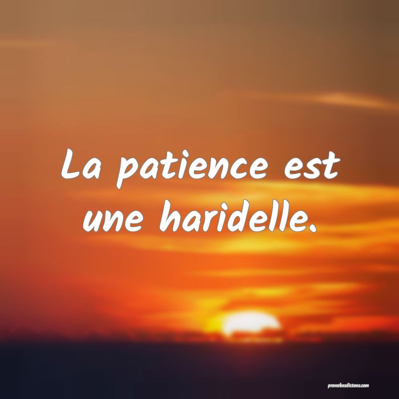 La patience est une haridelle.