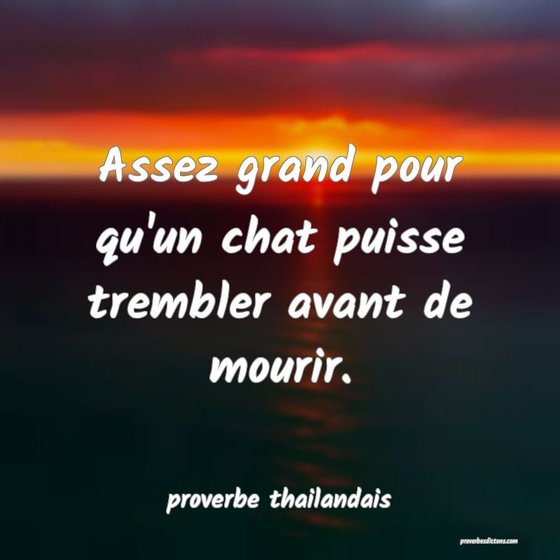  Assez grand pour qu'un chat puisse trembler avant de mourir.