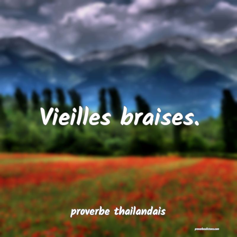  Vieilles braises.