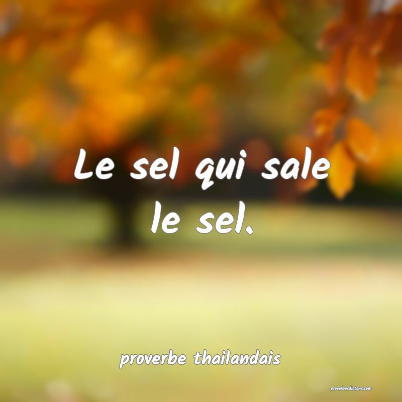  Le sel qui sale le sel.