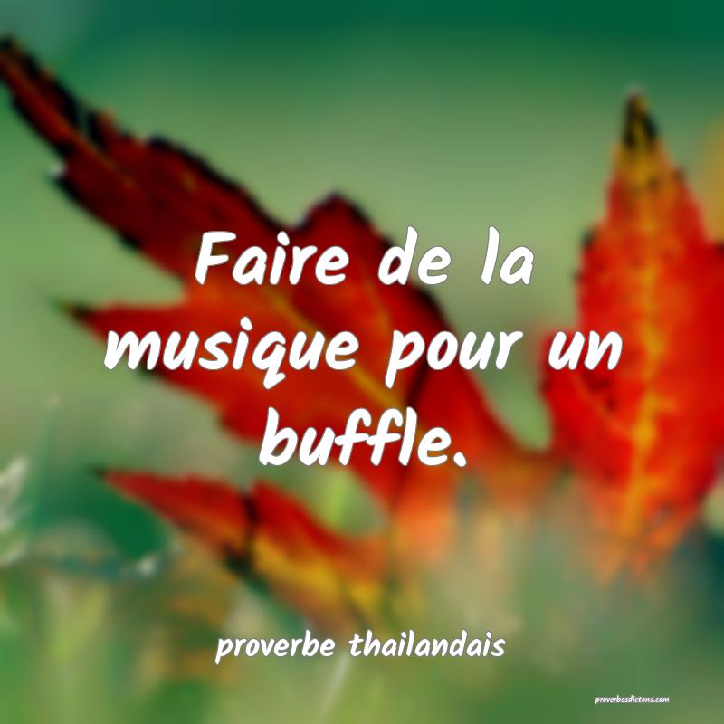  Faire de la musique pour un buffle.