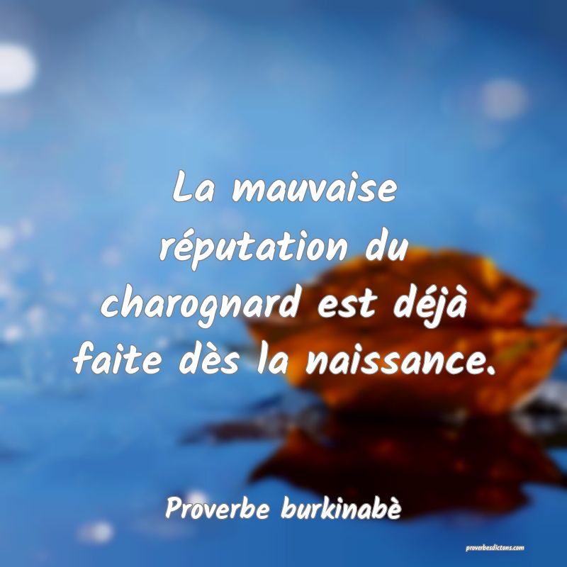  La mauvaise réputation du charognard est déjà faite dès la naissance.