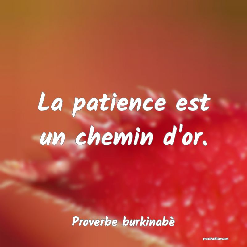  La patience est un chemin d'or.