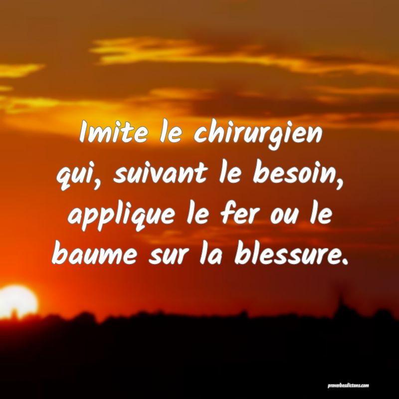 Imite le chirurgien qui, suivant le besoin, applique le fer ou le baume sur la blessure.