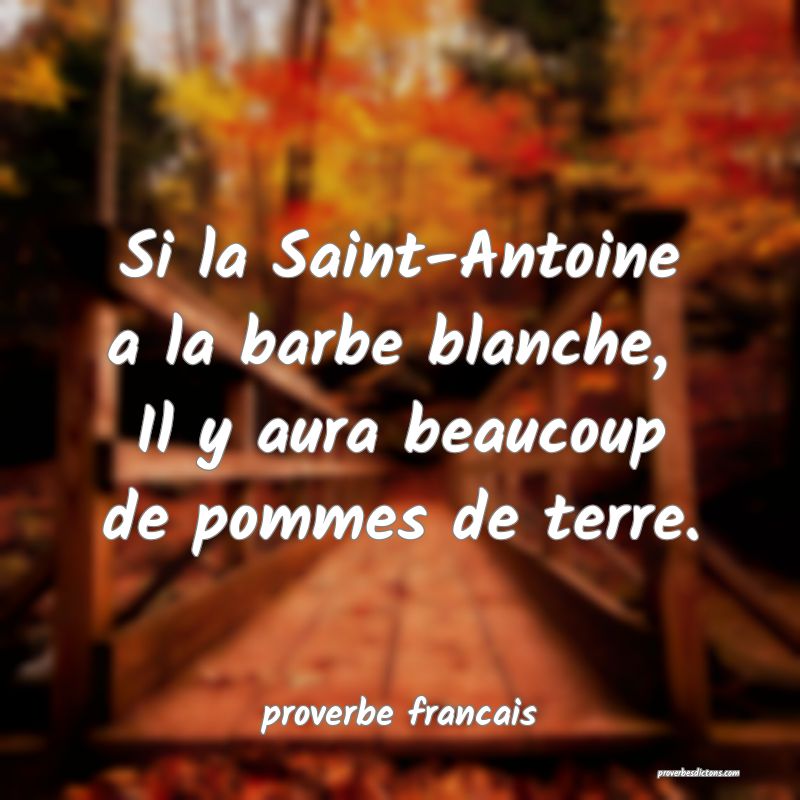 Si la Saint-Antoine a la barbe blanche, 
Il y aura beaucoup de pommes de terre.