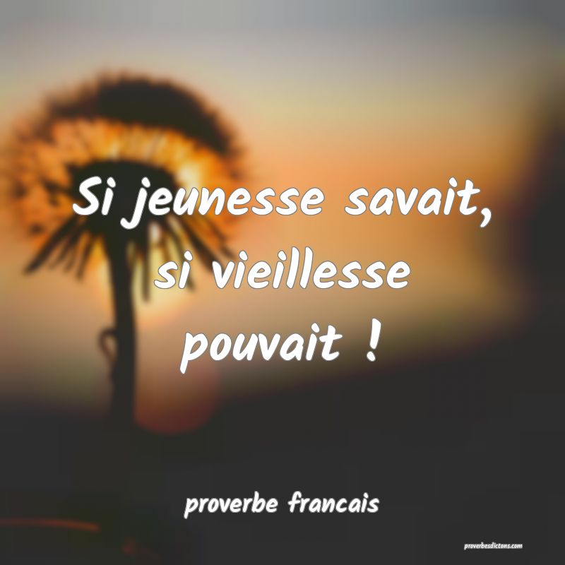  Si jeunesse savait, si vieillesse pouvait !
