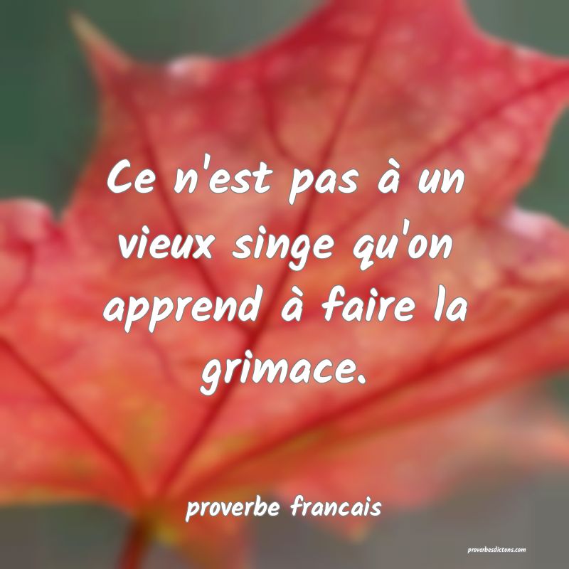  Ce n'est pas à un vieux singe qu'on apprend à faire la grimace.