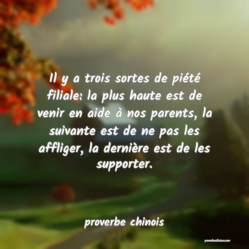  Il y a trois sortes de piété filiale: la plus haute est de venir en aide à nos parents, la suivante est de ne pas les affliger, la dernière est de les supporter.