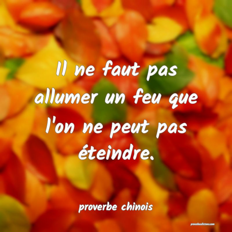 Il ne faut pas allumer un feu que l'on ne peut pas éteindre.