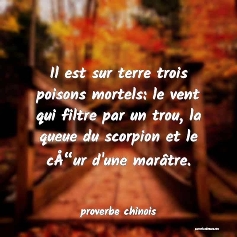  Il est sur terre trois poisons mortels: le vent qui filtre par un trou, la queue du scorpion et le cÅ“ur d'une marâtre.