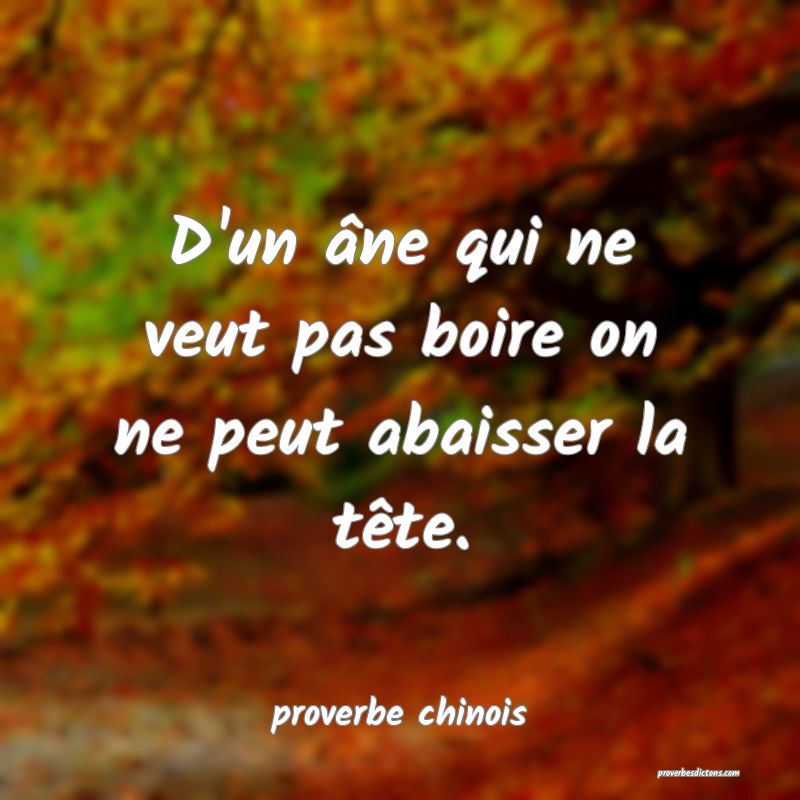  D'un âne qui ne veut pas boire on ne peut abaisser la tête.