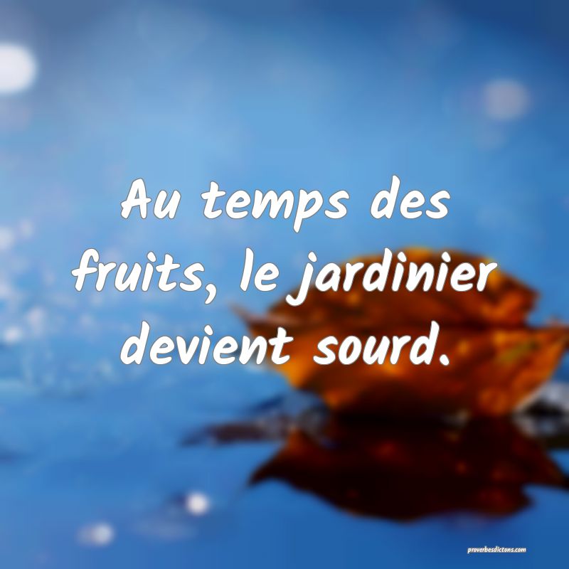 Au temps des fruits, le jardinier devient sourd.