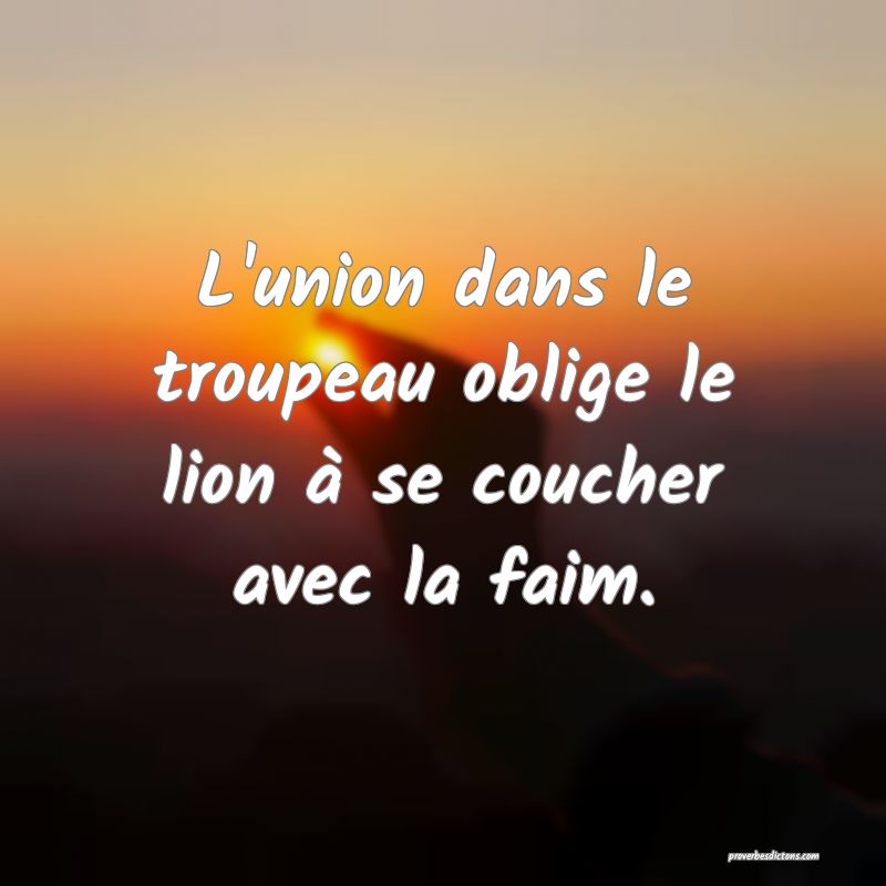 L'union dans le troupeau oblige le lion à se coucher avec la faim.